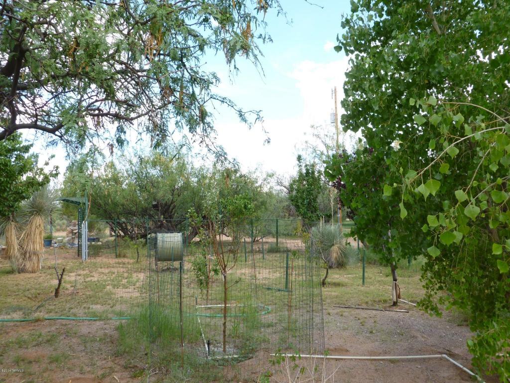 24440 E Shawnee Trl, Benson, AZ 85602 photo 13