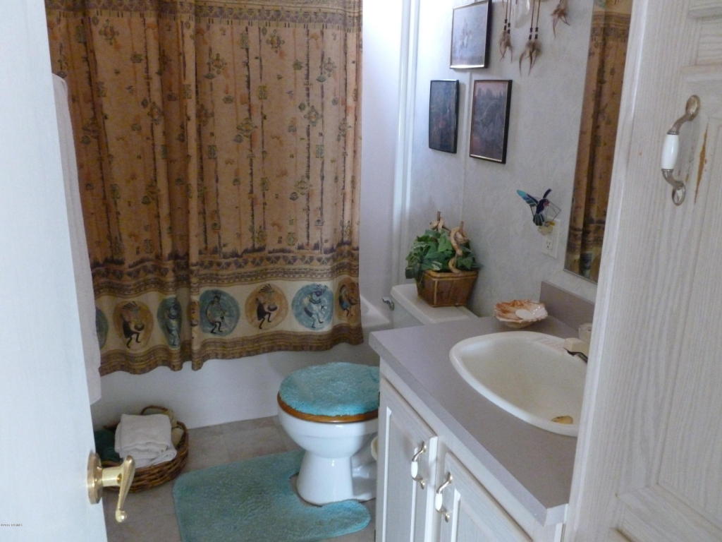 24440 E Shawnee Trl, Benson, AZ 85602 photo 17