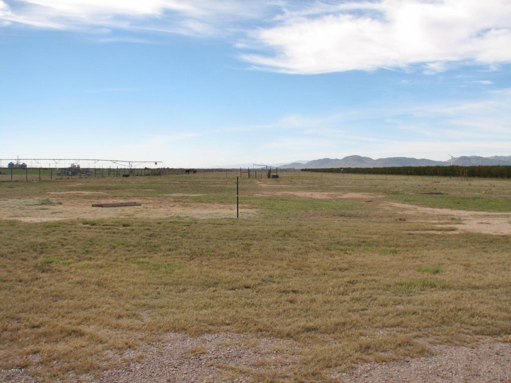 14525 W Briggs Rd, Willcox, AZ 85643 photo 13