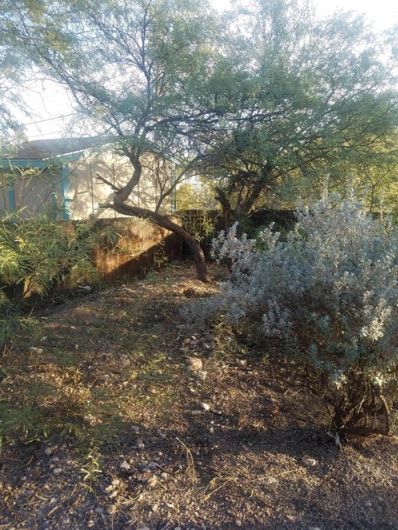 2652 E Spring St, Tucson, AZ 85716 photo 8