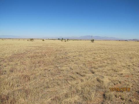 357 W Treasure Rd, Pearce, AZ 85625 photo 31