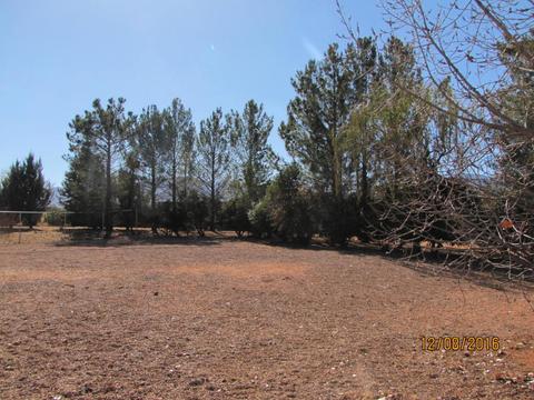 357 W Treasure Rd, Pearce, AZ 85625 photo 34