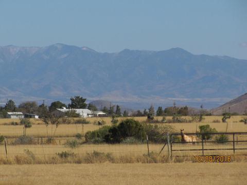 357 W Treasure Rd, Pearce, AZ 85625 photo 46