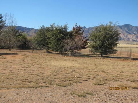 357 W Treasure Rd, Pearce, AZ 85625 photo 36