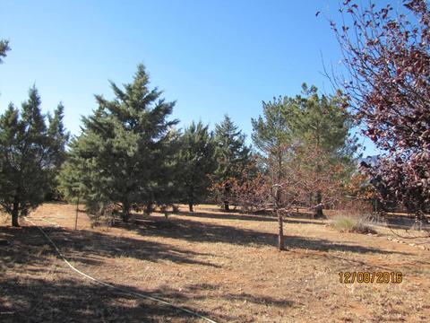 357 W Treasure Rd, Pearce, AZ 85625 photo 24