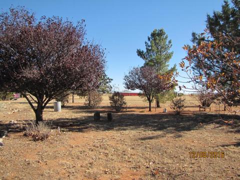357 W Treasure Rd, Pearce, AZ 85625 photo 23