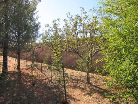 357 W Treasure Rd, Pearce, AZ 85625 photo 33