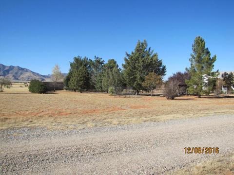 357 W Treasure Rd, Pearce, AZ 85625 photo 49