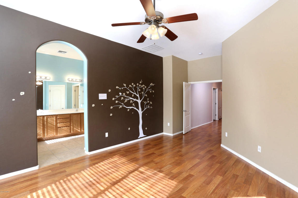 12560 E Red Iron Trl, Vail, AZ 85641 photo 10