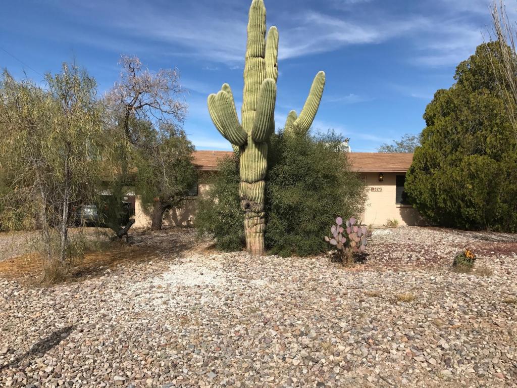 5273 E 20th St, Tucson, AZ 85711 photo 1