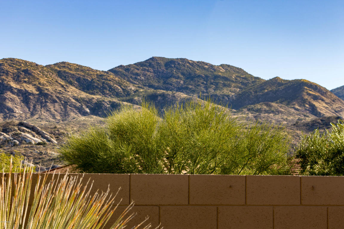 65885 E Desert Trail Dr, Tucson, AZ 85739 photo 50