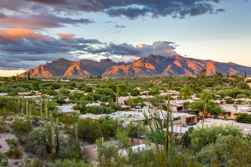 650 W River Rd, Tucson, AZ 85704 photo 3