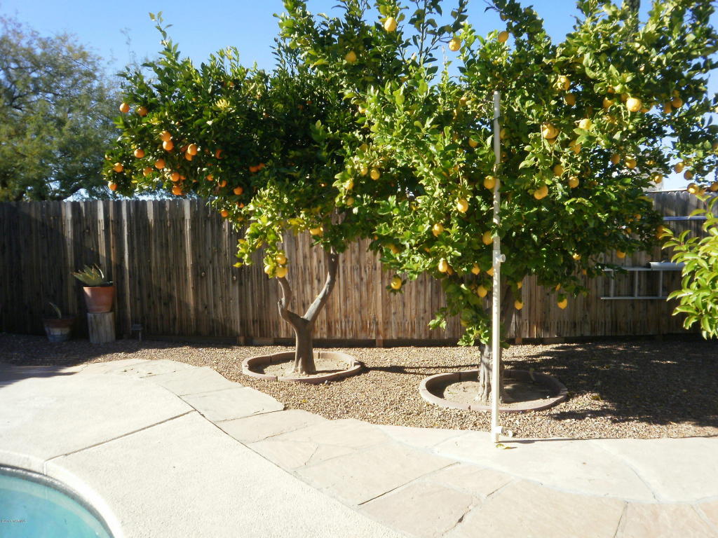 9220 E Simon Pl, Tucson, AZ 85710 photo 14