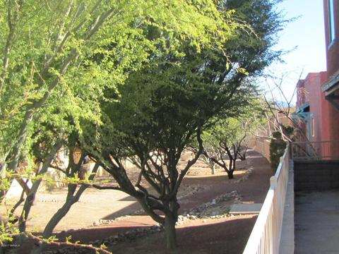 10535 E Marchetti Loop, Tucson, AZ 85747 photo 26