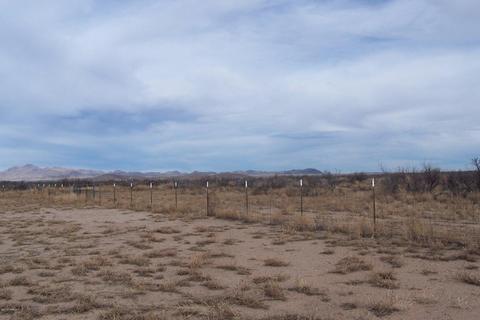 1525 E Blue Darter Ln, Willcox, AZ 85643 photo 38