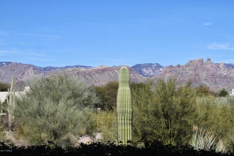 8560 E Shadow Side Pl, Tucson, AZ 85750 photo 47