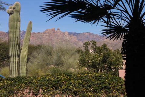 8560 E Shadow Side Pl, Tucson, AZ 85750 photo 28