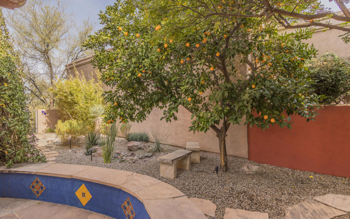 10486 E Sixto Molina Ln, Tucson, AZ 85747 photo 28