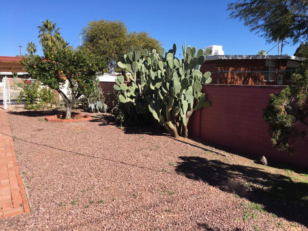 7404 E 24th St, Tucson, AZ 85710 photo 18