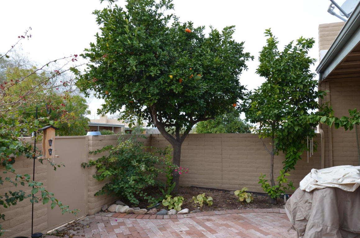 7844 E 4th St, Tucson, AZ 85710 photo 10