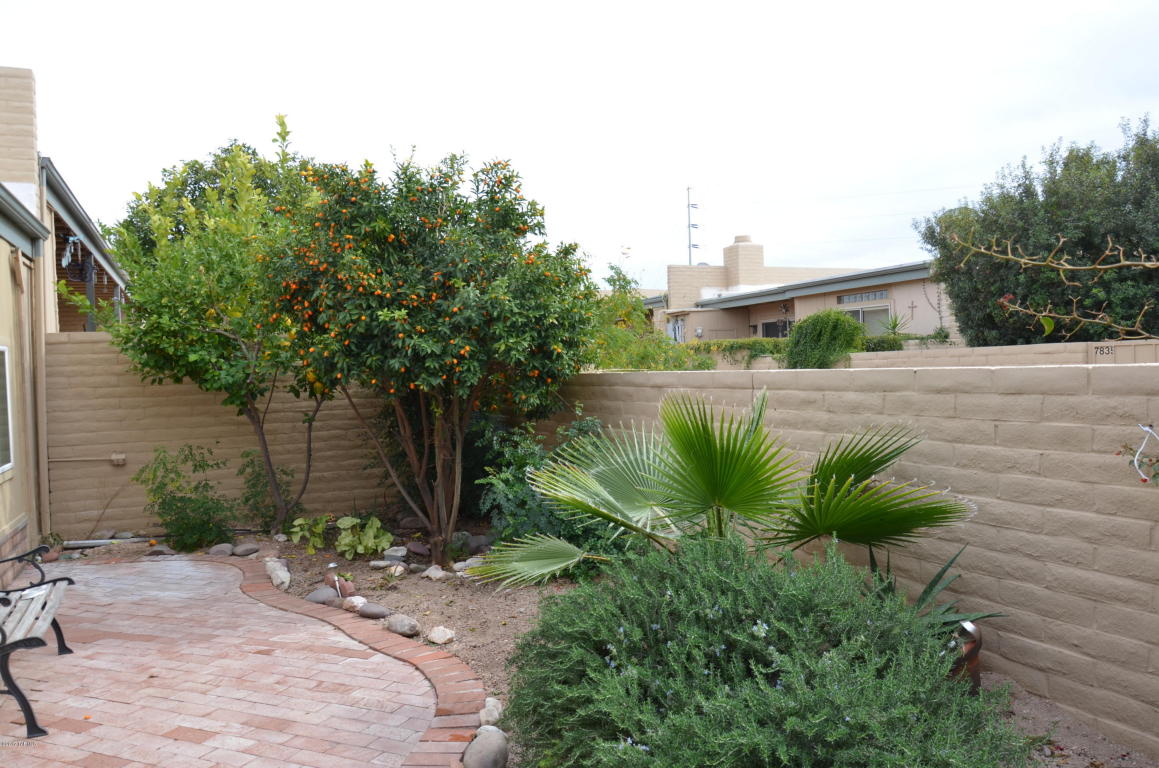 7844 E 4th St, Tucson, AZ 85710 photo 11