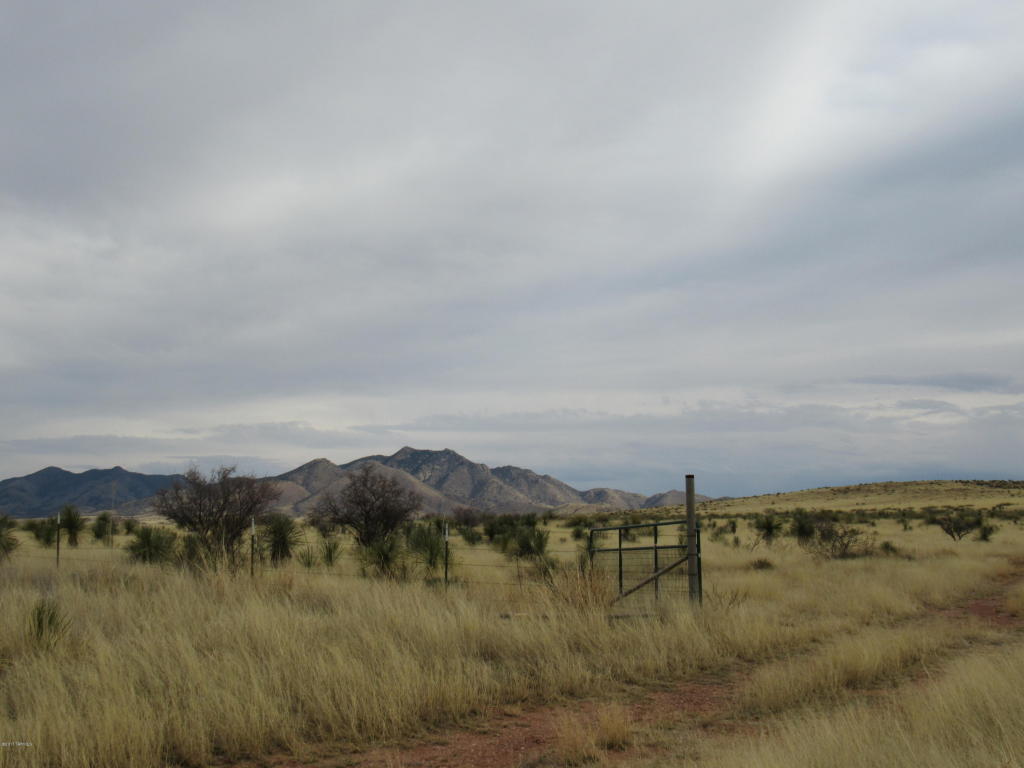 423 Upper Elgin, Elgin, AZ 85611 photo 38