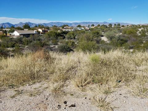 10201 Escalante Rd, Tucson, AZ 85730