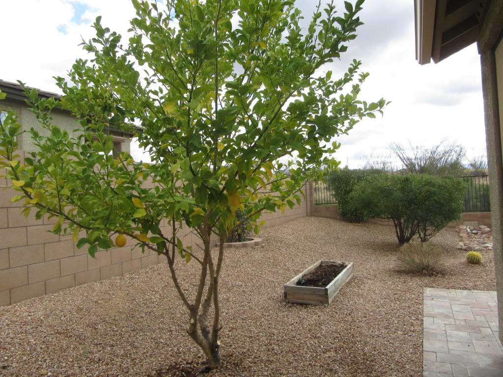 56 E Adytum Pl, Vail, AZ 85641 photo 13