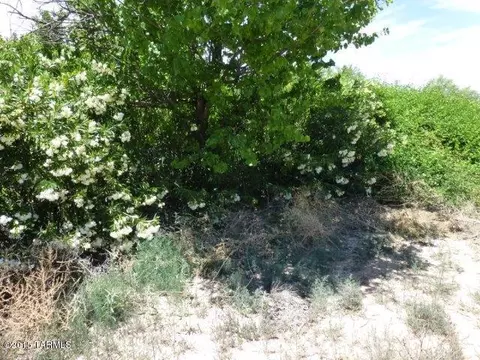 452 E 5th St, Benson, AZ 85602 photo 4