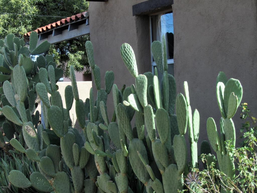 3544 E Fairmount St, Tucson, AZ 85716 photo 37