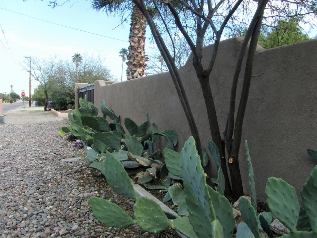 3544 E Fairmount St, Tucson, AZ 85716 photo 34