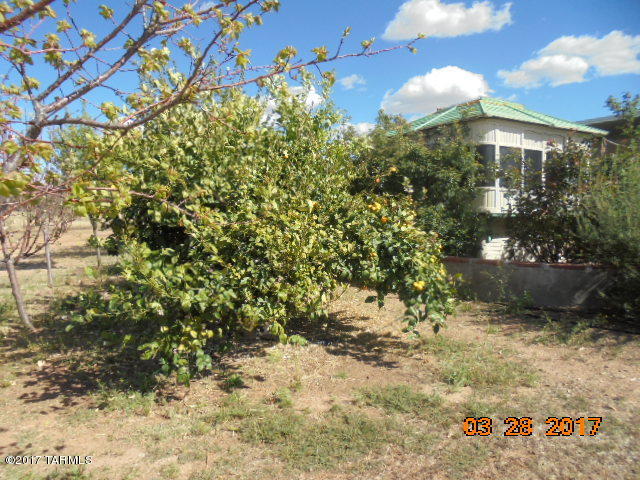 25321 E Shawnee St, Benson, AZ 85602 photo 17