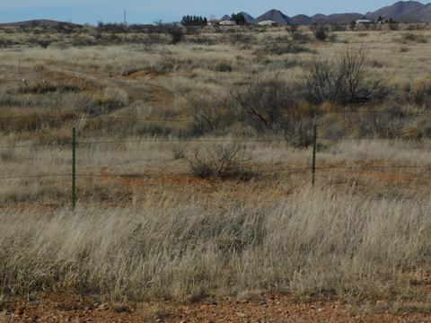 6358 S Jeffords Trl, Willcox, AZ 85643 photo 19