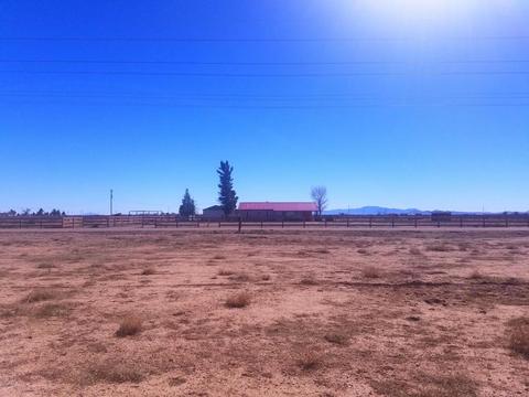 3063 W Saguaro Rd, Willcox, AZ 85643 photo 45