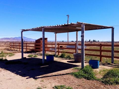 3063 W Saguaro Rd, Willcox, AZ 85643 photo 40