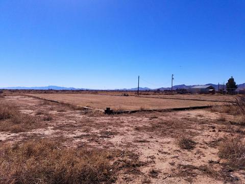 3063 W Saguaro Rd, Willcox, AZ 85643 photo 30