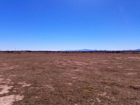 3063 W Saguaro Rd, Willcox, AZ 85643 photo 32