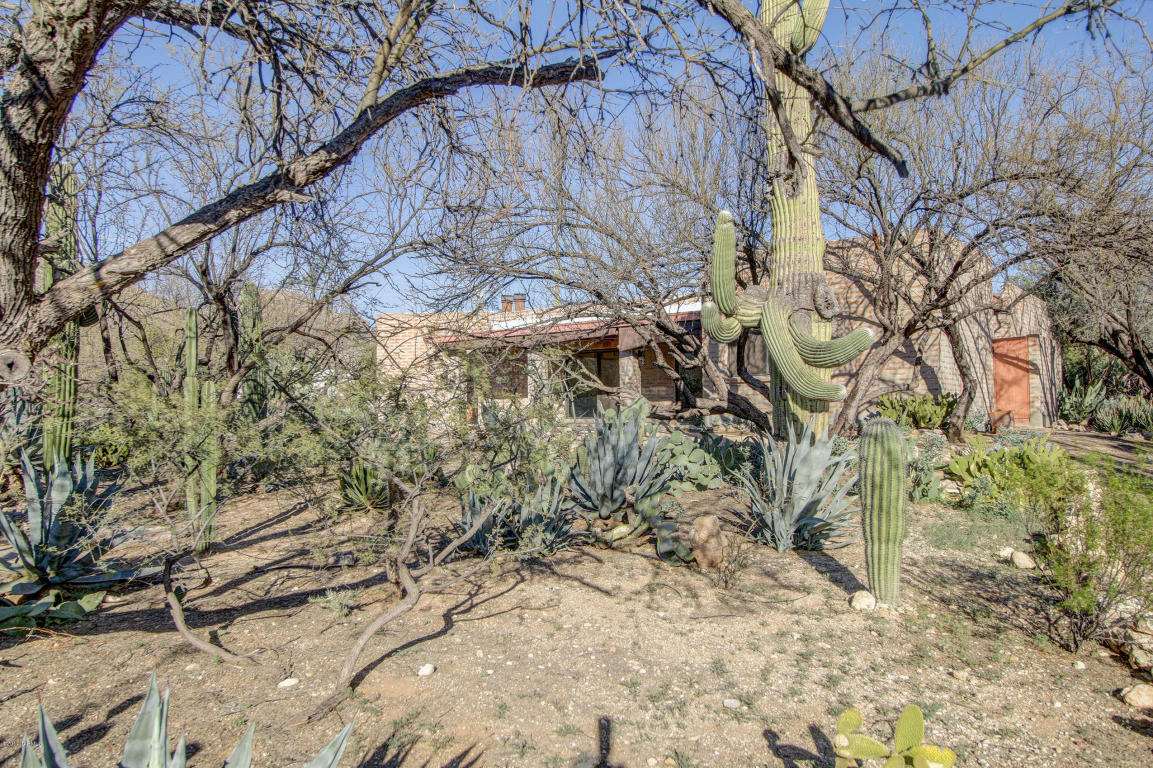 12050 E Jefsumark Cir, Tucson, AZ 85749 photo 29