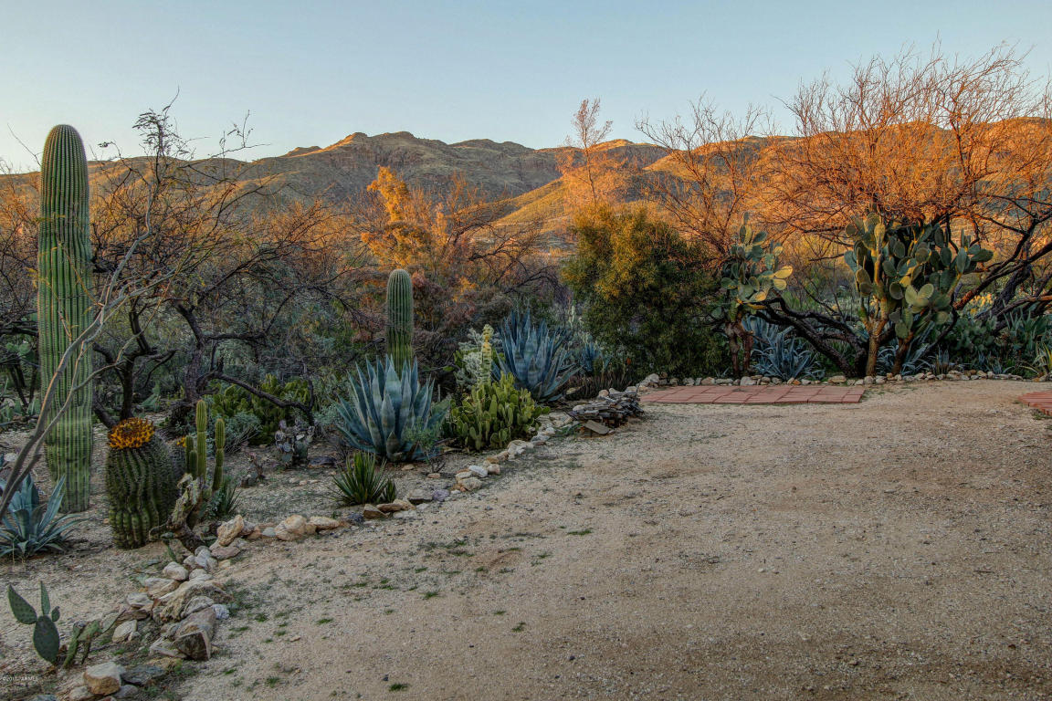12050 E Jefsumark Cir, Tucson, AZ 85749 photo 31