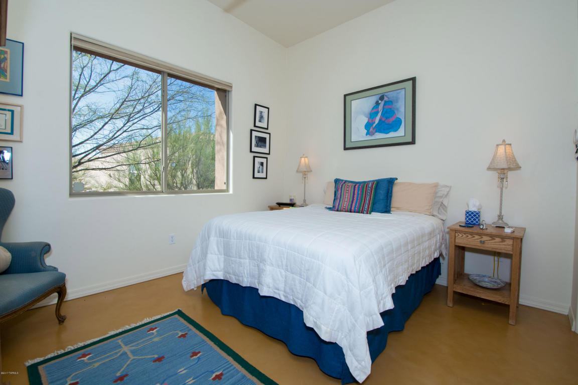 14563 E Desert Plume Ct, Vail, AZ 85641 photo 15