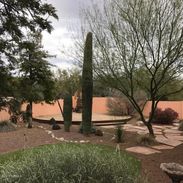 3525 W Thundercloud Loop, Tucson, AZ 85742 photo 25