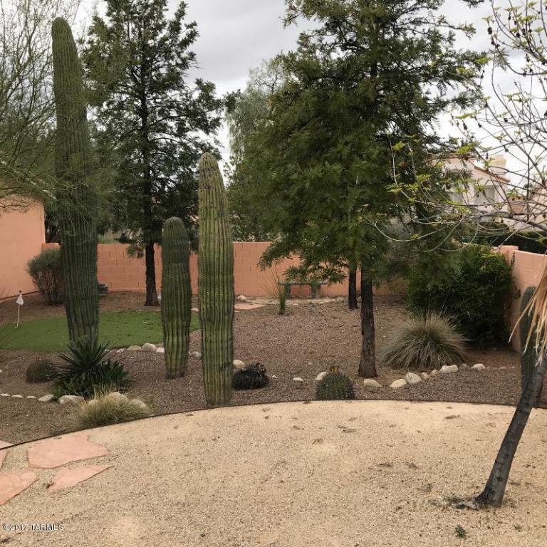 3525 W Thundercloud Loop, Tucson, AZ 85742 photo 15
