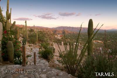 12031 E Quesada Pl, Tucson, AZ 85749 photo 5