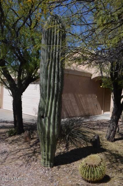 9456 E Bench Mark Loop, Tucson, AZ 85747 photo 5