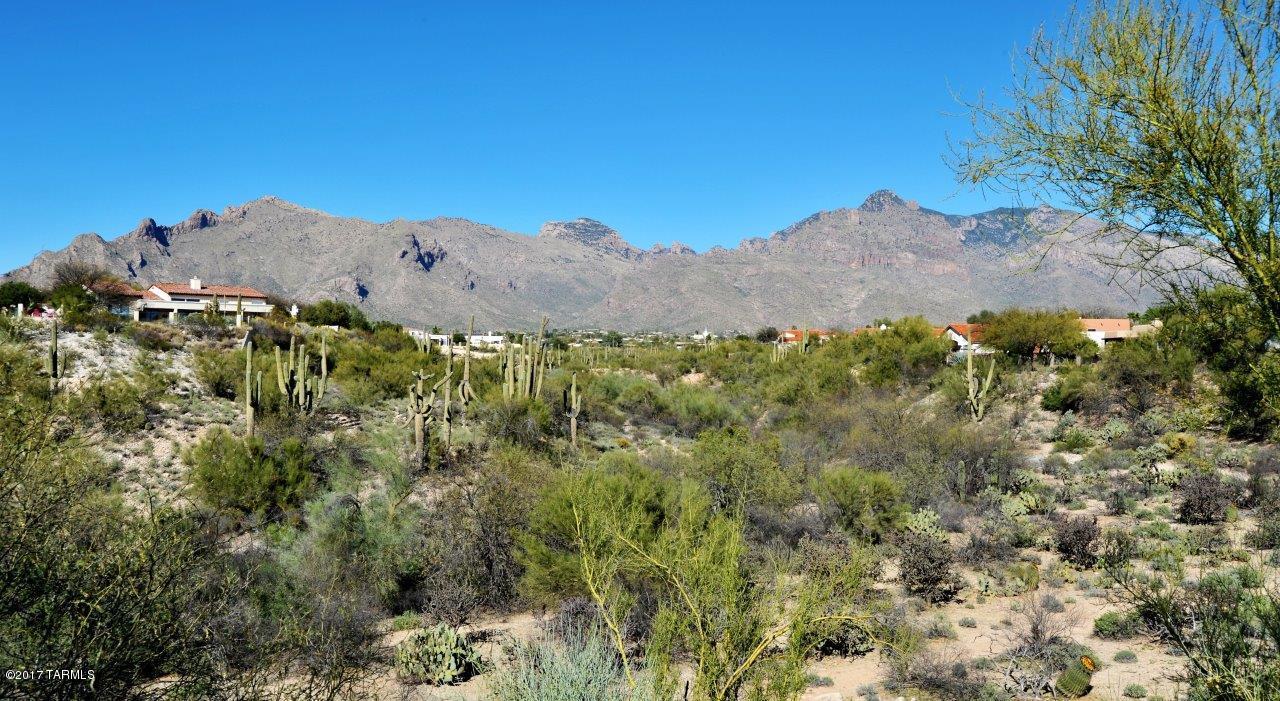 273 E Shadow Bluff Pl, Tucson, AZ 85704 photo 1