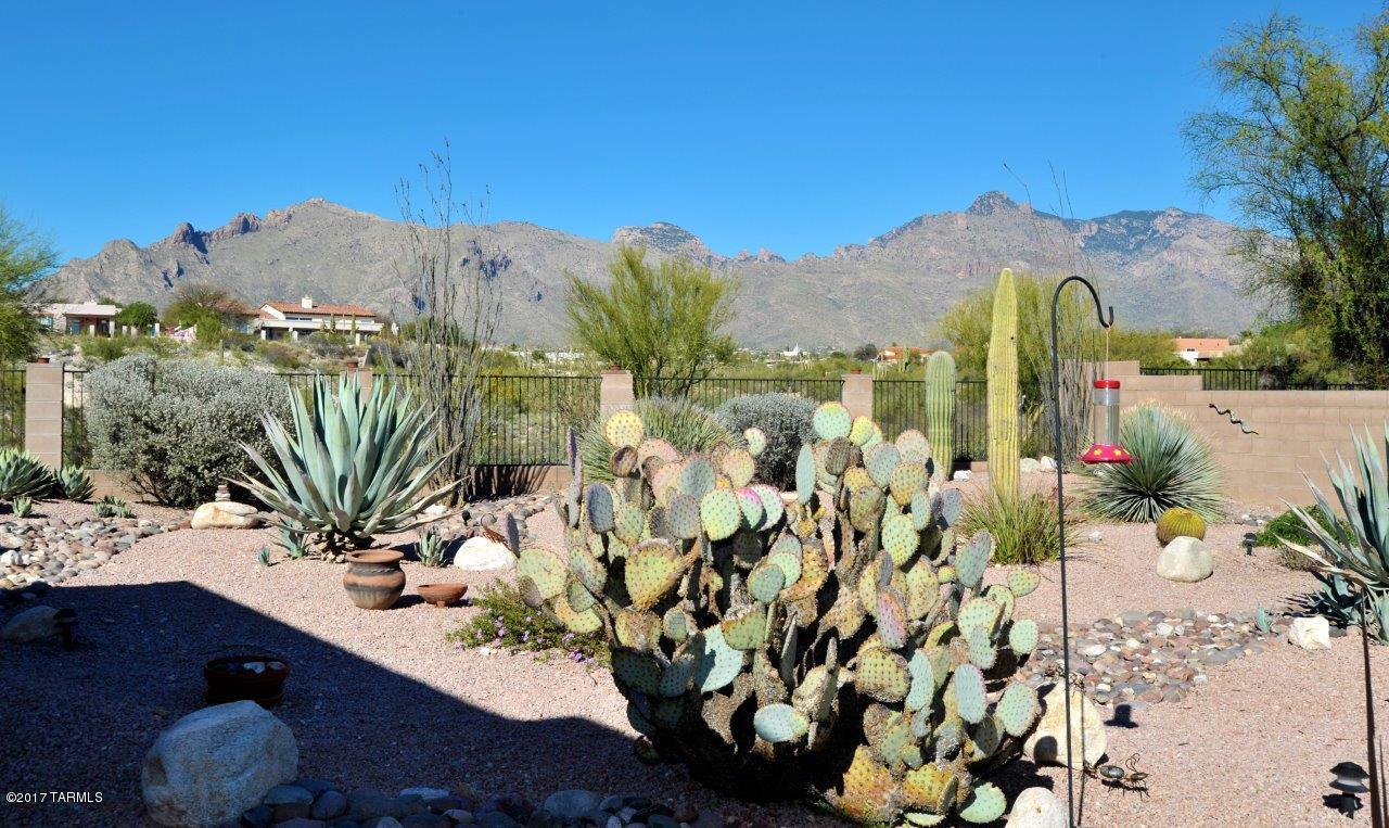 273 E Shadow Bluff Pl, Tucson, AZ 85704 photo 23