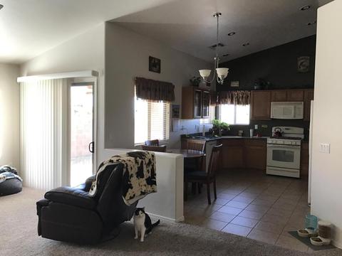 305 E Creosote Draw Rd, Vail, AZ 85641 photo 5