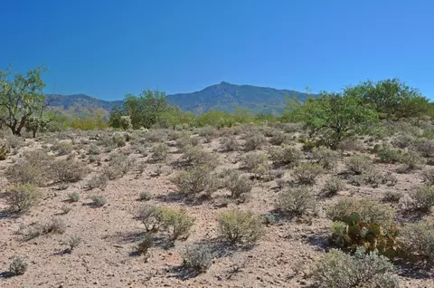 14660 E Circle H Ranch Pl, Vail, AZ 85641 photo 4