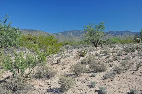 14660 E Circle H Ranch Pl, Vail, AZ 85641 photo 1