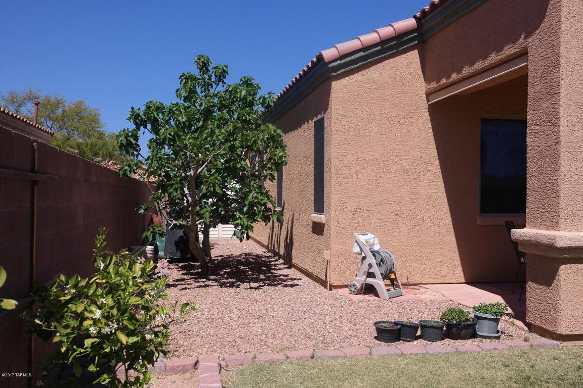 10538 E Heartleaf Dr, Tucson, AZ 85747 photo 33